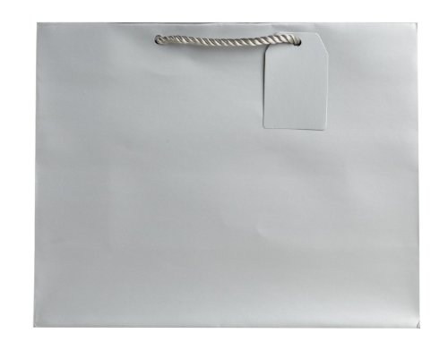 Jillson Roberts 6-Count Large 12.5" x 10" x 5" Gift Bags Available in 12 Solid Colors, Silver Matte