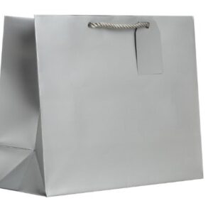 Jillson Roberts 6-Count Large 12.5" x 10" x 5" Gift Bags Available in 12 Solid Colors, Silver Matte