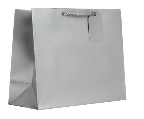 Jillson Roberts 6-Count Large 12.5" x 10" x 5" Gift Bags Available in 12 Solid Colors, Silver Matte