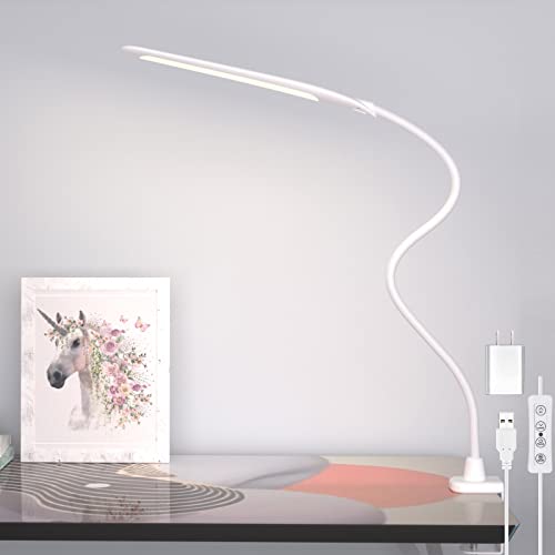 HAILOLY Desk Lamps for Home Office, White Desk Lamp with Clamp, LED Desk Lamp with USB Port,Eye-Caring Office Light Dimmable, Clamp Lamp for Desktop,Workbench