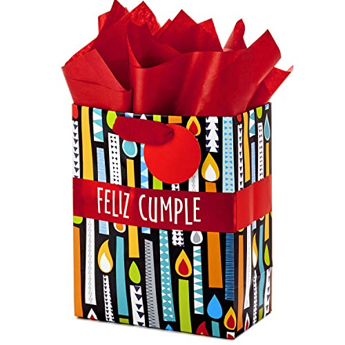 Hallmark VIDA 9" Medium Spanish Gift Bag with Tissue Paper for Birthday (Feliz Cumple)