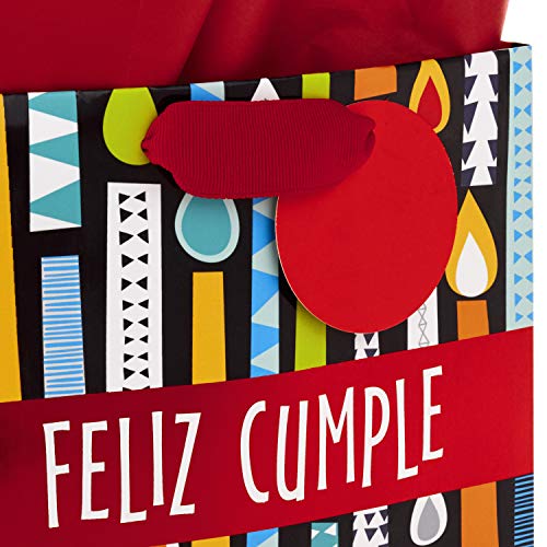 Hallmark VIDA 9" Medium Spanish Gift Bag with Tissue Paper for Birthday (Feliz Cumple)