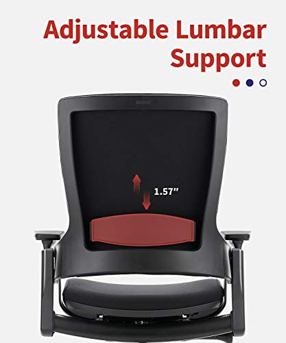 CLATINA Ergonomic High Swivel Executive Chair with Adjustable Height 3D Arm Rest Lumbar Support and Upholstered Back for Home Office Black BIFMA Certification No. 5.1