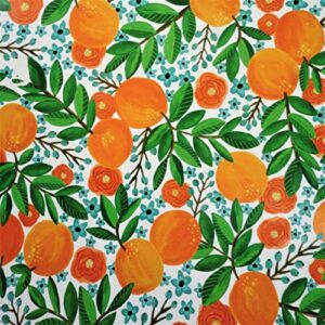 summer citrus gift wrapping paper roll – 24″ x 15′