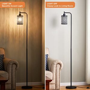 Hong-in Crystal Floor Lamp - Tall Lamp with 6W LED Bulb, Modern Standing Floor Lamps for Living Room with Foot Switch, Black Floor lamp for Bedroom Office Reading Dining Room Kitchen, 64.6 Inch