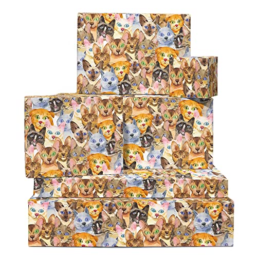 Cat Wrapping Paper - 6 Sheets of Gift Wrap with Tags - Cat Faces - Animal Gift Wrap for Men Women Kids - Birthday Wrapping Paper For Cat Mom or Dad - Eco-Friendly - Comes with Stickers - Central 23