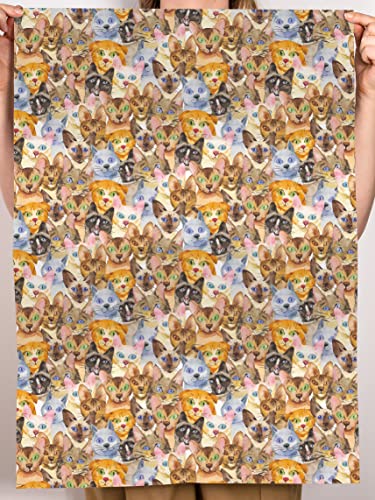Cat Wrapping Paper - 6 Sheets of Gift Wrap with Tags - Cat Faces - Animal Gift Wrap for Men Women Kids - Birthday Wrapping Paper For Cat Mom or Dad - Eco-Friendly - Comes with Stickers - Central 23