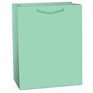 amscan glossy paper bag, medium-1 pc, cool mint