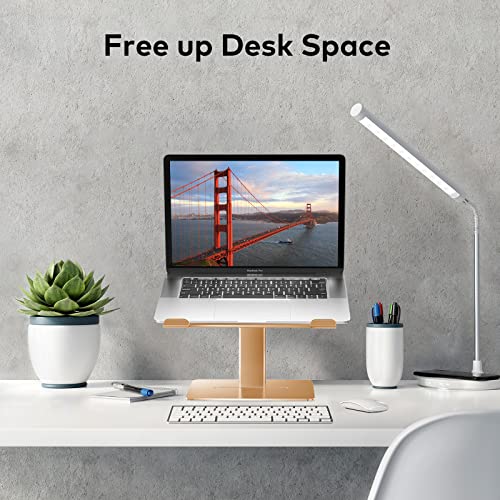 DEEDRR Laptop Stand for Desk Ergonomic Adjustable Height Angle Riser , Computer Stand Laptop Holder for 11-17 Inches Notebook MacBook Aluminum (Gold)…