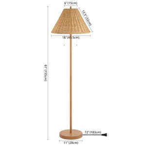 JONATHAN Y JYL3092A Nando 61" 2-Light Coastal Bohemian Iron/Rattan LED Floor Lamp with Pull-Chain Mid-Century, Modern Standing Reading Lamp LED Bulb Included, Brown Wood Finish