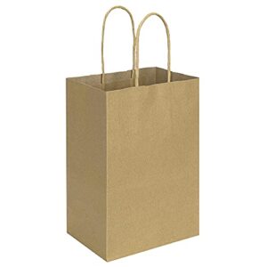 bagmad 100 pack 5.25×3.25×8 inch brown small paper bags with handles bulk, gift paper bags, kraft birthday party favors grocery retail shopping craft bags takeouts business (plain natural 100pcs)