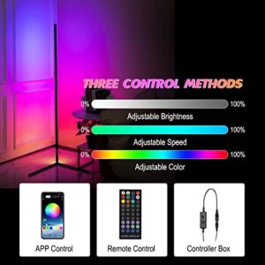 Hitish Corner Floor Lamp 2 Pack, 62.2” RGB Color Changing Mood Lighting Corner LED with Bluetooth & Remote Control, Dimmable Modern RGB Floor Lamp with Music Sync & Timing for Living Room, Gaming Room