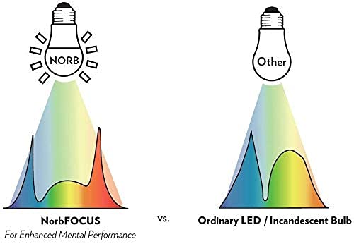 NorbFOCUS Desk Lamp LED Light Bulb. Unique Light Spectrum for Mental Performance. Supports Learning, Retention, Recall, Reading Speed. For Use as a Reading Light, Study Light, Work Light or Task Light