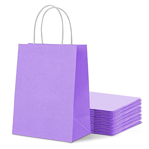 HaiQuan Purple Kraft Paper Bags with Handles, 25PCS 8 x 4.75 x 10 inchs, Gift Bags Gift Wrap Bags, Bulk Gift Bags for Shopping, Packaging, Wedding, Retail, Party, Gifts