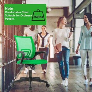 Home Office Chair Ergonomic Desk Chair Mesh Computer Chair with Lumbar Support Armrest Adjustable Rolling Swivel Chair for Women Adults, Green