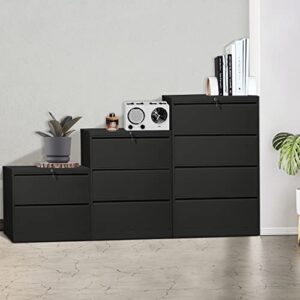 INTERGREAT Lateral File Cabinet with 2 Drawer, Black Lateral Filing Cabinet with Lock, Metal Steel Black File Cabinets for Home Office