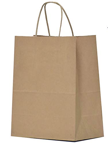 Qutuus Kraft Paper Bags with Handles Bulk 8x4.5x10 100 pcs Brown Paper Gift Bags Bulk Medium Size Kraft Bags, Brown Bags, Shopping Bags, Retail Bags, Craft Bags for Small Business