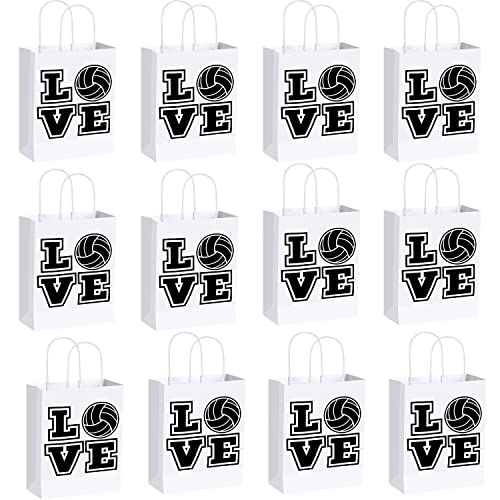 xinglong 12 pcs volleyball party gift bags with Handle, Sport themed birthday party snacks candy gift boxes, black volleyball paper bags for party baby shower Decor