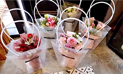 BBC Clear Flower Bouquet Bags with Handle Florist Shop Packaging Supplies, 5 Pcs (11.4 * 5.9 * 16.7inch)