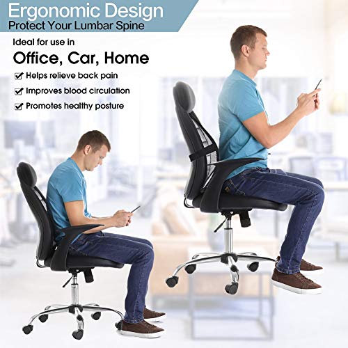 Bangled Lumbar Support, Car Lumbar Support with Double Breathable Mesh, Back Lumbar Support for Car and Office Chair (Black 2 Pack)