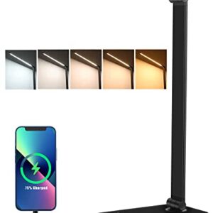 WYZGFRQS Desk Lamp, LED Desk Lamp with USB Charging Port, Sensitive Touch Table Lamp for Dorm Home Office with 5 Light Colors, 10 Brightness, Timer, Black