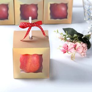 Muse's Mode 30Pcs Rose Gold Candy Apple Boxes With Hole Top | 4inch x 4inch x 4inch Paper Window Gift Boxes For Candy Apples, Ornaments | Wedding, Party, Baby Shower Favors| Food In Safe