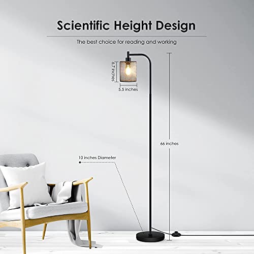 BoostArea Industrial Floor Lamp, Standing Lamp with Hanging Iron Mesh Lamp Shade, 6W LED Bulb, Whole Metal Farmhouse Floor Lamp with Foot Switch, Rustic Floor Lamps for Living Room Bedroom, Black