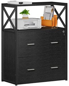 raybee filing cabinet for home office lateral file cabinet with 2 wood drawers, office printer stand with lock storage cabinet for letter, a4, legal size file folders, 15.8″d x 31.5″w x 40.6″h, black
