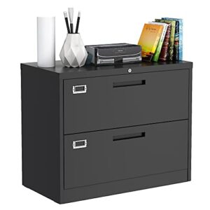 letaya file cabinets,2 drawer metal lateral filing organization cabinets with lock,home office for hanging files letter/legal/f4/a4 size(2 drawer-black)