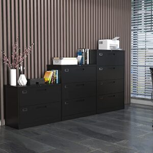 Letaya File Cabinets,2 Drawer Metal Lateral Filing Organization Cabinets with Lock,Home Office for Hanging Files Letter/Legal/F4/A4 Size(2 Drawer-Black)