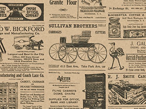 Tissue Paper for Gift Wrapping with Design (Vintage Newspaper) Black and Tan, 24 Large Sheets (20x30)