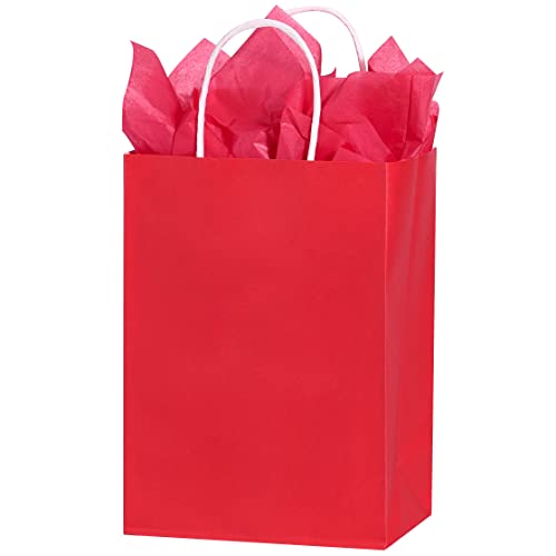 SUNCOLOR 24 Pack Red Party Favor Bags Goodie Bags for Valentine's day Party With Handle and Tissue Paper (Red)