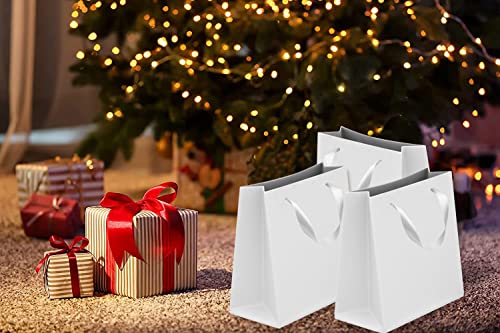 20 Pcs White Kraft Paper Gift Bags 10.6 x 8.2 x 3.1 Inch Gift Bags Bulk with Handles for Retail Bag, Party Favor Bag, Birthday Gift Bag, Merchandise Boutique Retail Bags