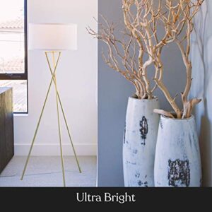 Brightech Jaxon LED Floor lamp, Modern Lamp for Living Rooms & Offices, Tall Lamp with Contemporary Drum Shade, Gold Tripod Standing Lamp for Bedroom Reading, Great Living Room Decor - Brass