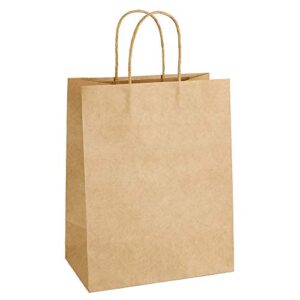 100pcs kraft paper bags 7.9×4.25×10.6″ gift bag with handles for wedding party craft retail packaging,recycled twist handles brown shopping bags (brown,s-100)