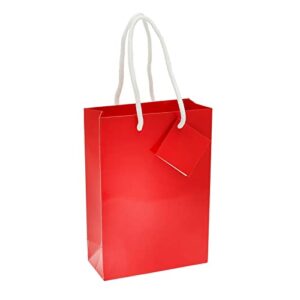 BLUE PANDA 20 Pack Small Red Paper Gift Bags with Handles, White Tissue Paper, and Hanging Tags (8 x 5.5 x 2.5 In)