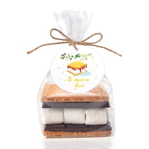 wangdefa 100 pcs s’more fun bags set bottom gusset bags clear cello cellophane with s’mores fun tags and twine for baked goods