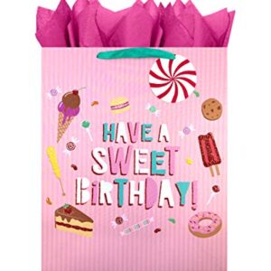 Blue House Group Premium Birthday Gift Bags + Tissue Paper (4 Large Bags + Tissue, Birthday Girl)