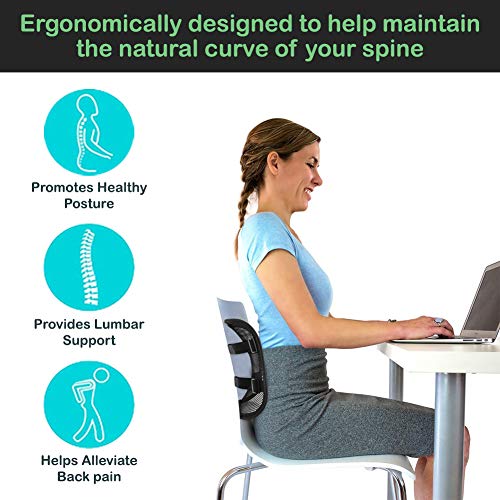 Lumbar Support with Breathable Mesh Layers and Double Sturdy Adjustable Straps, Comfortable Ergonomic Backrest for Office Chair and Car Driver Seat, Posture Cushion and Lower Back Support Pain Relief