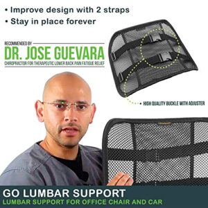 Lumbar Support with Breathable Mesh Layers and Double Sturdy Adjustable Straps, Comfortable Ergonomic Backrest for Office Chair and Car Driver Seat, Posture Cushion and Lower Back Support Pain Relief