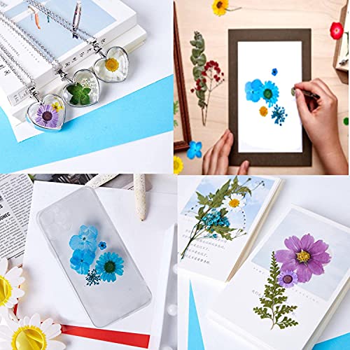 150 Pieces Real Dried Pressed Flowers for Craft Supplies & Materials,Dried Flowers for Resin Molds Silicone Kit Bundle,Scrapbook Supplies,Soap Making