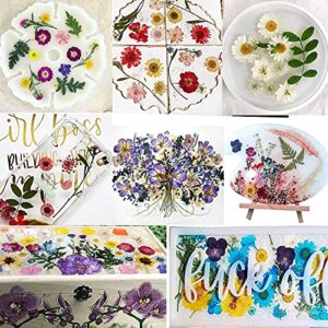 150 Pieces Real Dried Pressed Flowers for Craft Supplies & Materials,Dried Flowers for Resin Molds Silicone Kit Bundle,Scrapbook Supplies,Soap Making