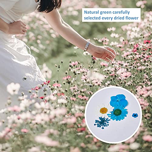 150 Pieces Real Dried Pressed Flowers for Craft Supplies & Materials,Dried Flowers for Resin Molds Silicone Kit Bundle,Scrapbook Supplies,Soap Making