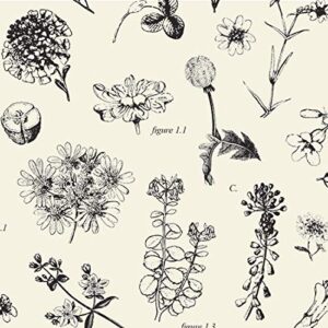 boutique printed tissue paper for gift wrapping with elegant botanical illustrations, decorative tissue paper – 24 large sheets, 20×30