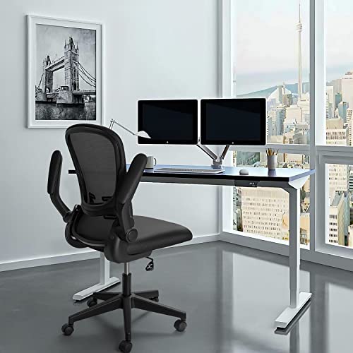Devoko Office Desk Chair Ergonomic Mesh Chair Lumbar Support with Flip Up Arms and Adjustable Height (Black)