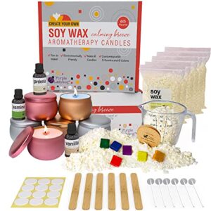 purple ladybug easy & complete candle making kit with essential oils – diy arts and crafts for adults women – full candle making kits for beginners & teens – make your own scented candles gifts