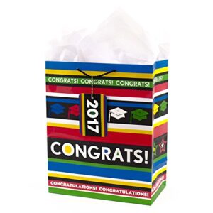 hallmark gift bag, large, congrats with stripes