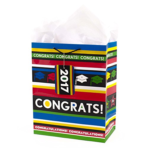 Hallmark Gift Bag, Large, Congrats with Stripes