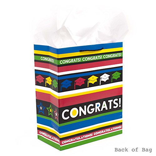 Hallmark Gift Bag, Large, Congrats with Stripes