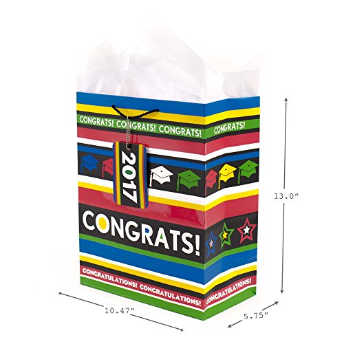 Hallmark Gift Bag, Large, Congrats with Stripes